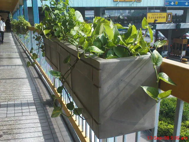 掛式花盆(天橋)